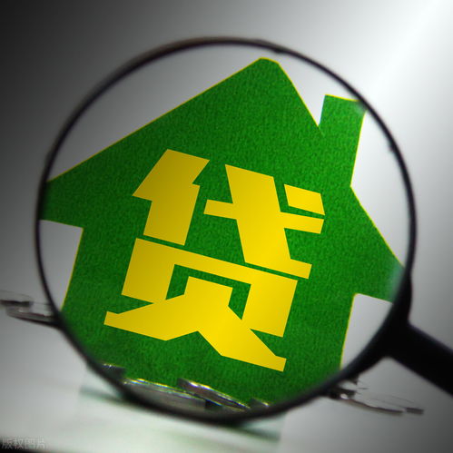 融e詢 運用現代智能科技，引領助貸行業新典范