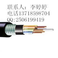 GYTA 36B1 室外單模層絞鋁鎧光纜 規(guī)格詳解與市場(chǎng)價(jià)格分析